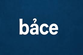 What is Bảce? A Simple Guide for Everyone